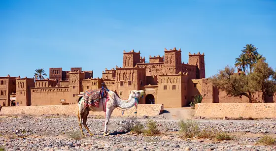 1-Day Trip from Marrakech to Ait Ben Hadou