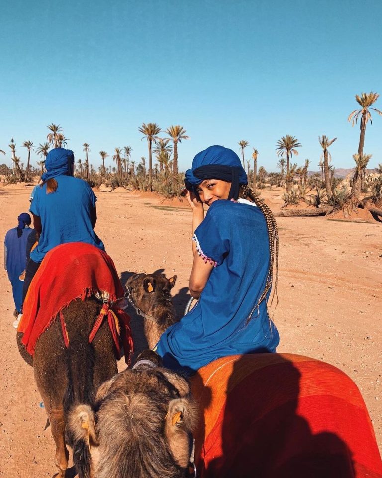 Explore the Marrakech Palm Grove (Palmeraie) on Camel Ride experience