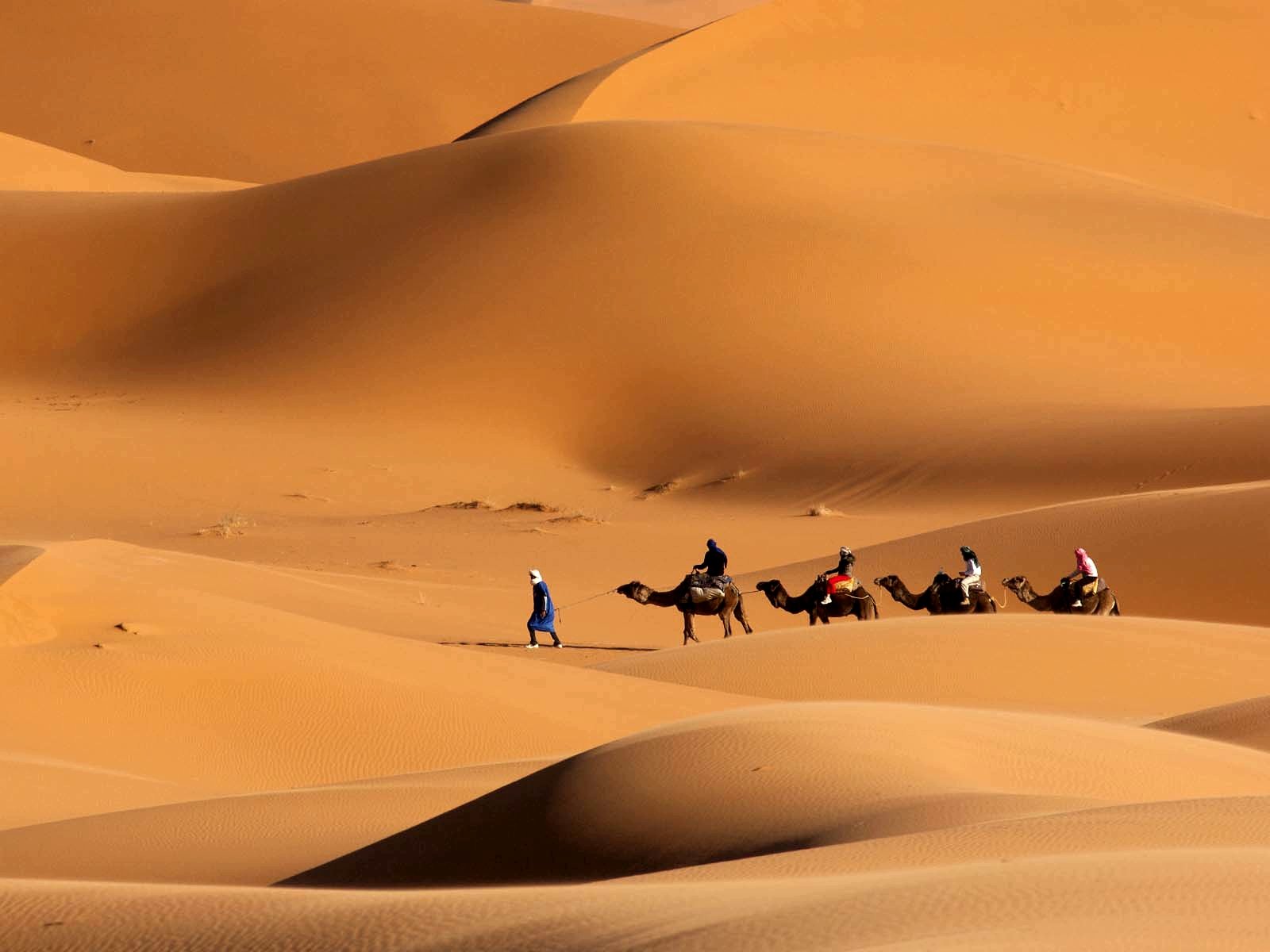 Marrakech desert tours